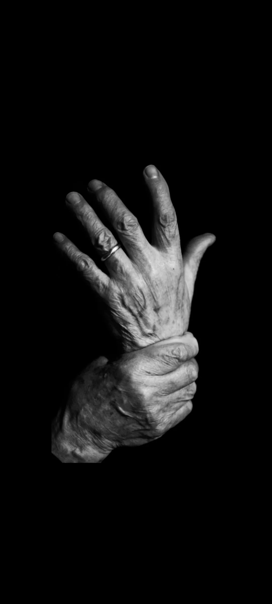 Hands Are Telling, Gennaio 2022. Opera di Ilia Da Lozzo